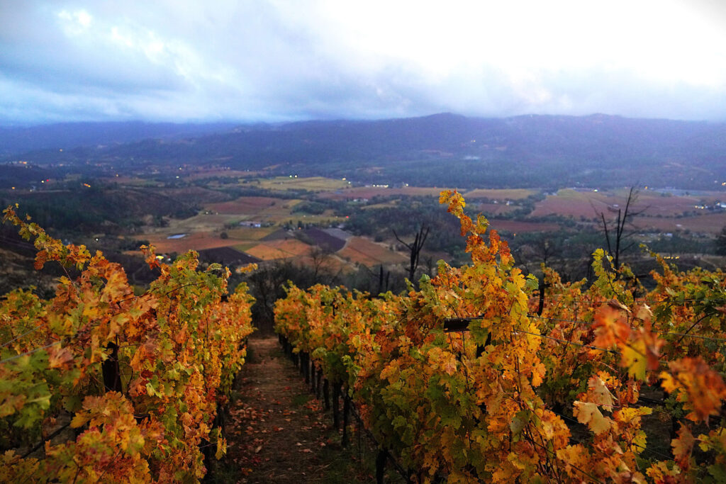 The sun sets over Zakin Estate vineyards in the new Crystal Springs of Napa Valley AVA Nov. 13, 2024. (Courtesy of Steven Burgess)