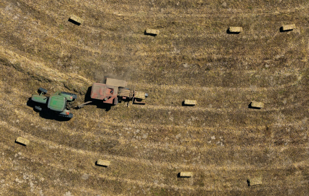 “A Year in the Vineyard,” a newly released photography book. This book covering vineyards quickly morphed into a book on the climate crisis as the authors chronicled the vintners on the frontlines of it. Littorai Winery off of Gold Ridge Road in Sebastopol was included as part of the year long project. Hay used for ground cover is bailed at the Sebastopol vineyard June 6, 2024. Chad Surmick / The Press Democrat)