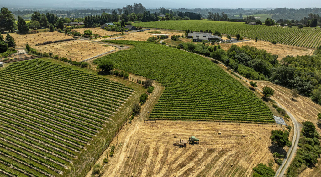 “A Year in the Vineyard,” a newly released photography book. This book covering vineyards quickly morphed into a book on the climate crisis as the authors chronicled the vintners on the frontlines of it. Littorai Winery off of Gold Ridge Road in Sebastopol was included as part of the year long project. Hay used for ground cover is bailed at the Sebastopol vineyard June 6, 2024. Chad Surmick / The Press Democrat)
