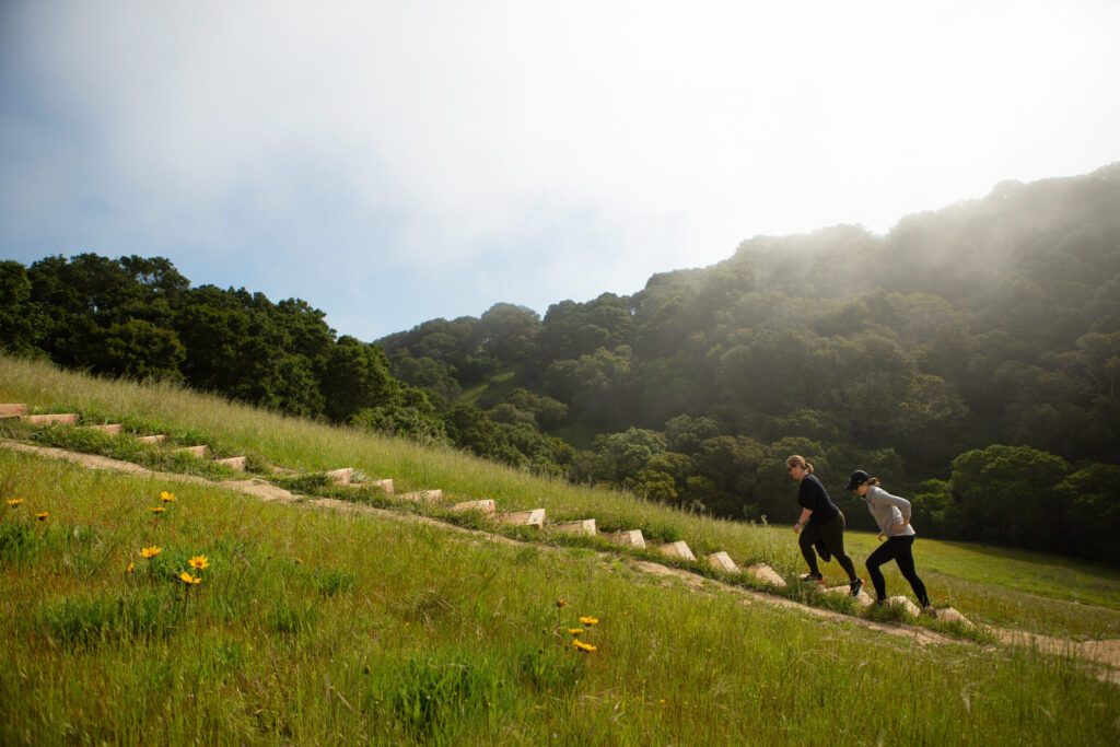 Hikers walk up the Panorama Steps at Helen Putnam Regional Park in Petaluma. (Sonoma County Regional Parks)