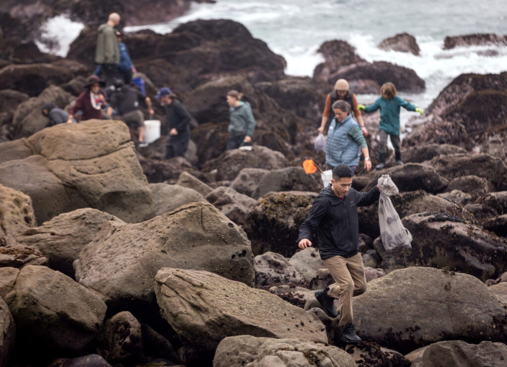 Delicacy seeking foodies comb the rocks for purple sea urchins during foraging class with Fork in the Path tours Jan. 18, 2026 at the Sand Beach Cove at Fort Ross State Historic Park on the Sonoma Coast. (John Burgess / The Press Democrat)t)