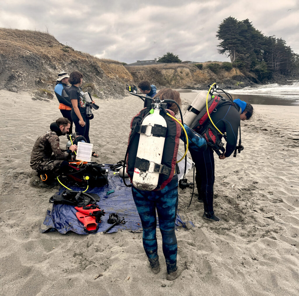 Dan Swezey, left, leads a group of Kashia tribal members on a diving and ocean skills course in Hawaii this January. (Courtesy Dan Swezey)