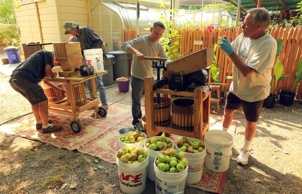 Slow Food Russian River operates the Sebastopol Community Apple Press at the Luther Burbank Gold Ridge Experiment Farm. (John Burgess / The Press Democrat, file)