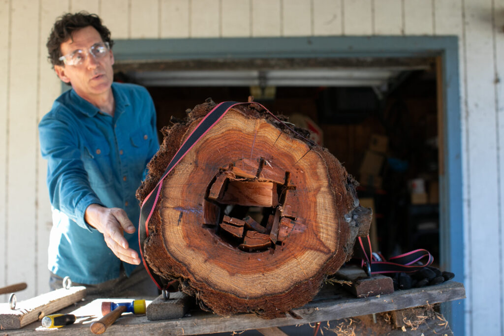Apis Arborea founder Michael Thiele builds a TreeNest to be installed in trees across Northern California to house wild honeybees. (Eileen Roche)