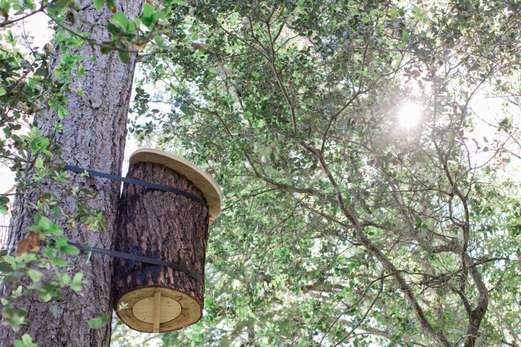 A TreeNest created by Sebastopol nonprofit Apis Arborea and installed in a tree to house feral honeybees. (Eileen Roche)