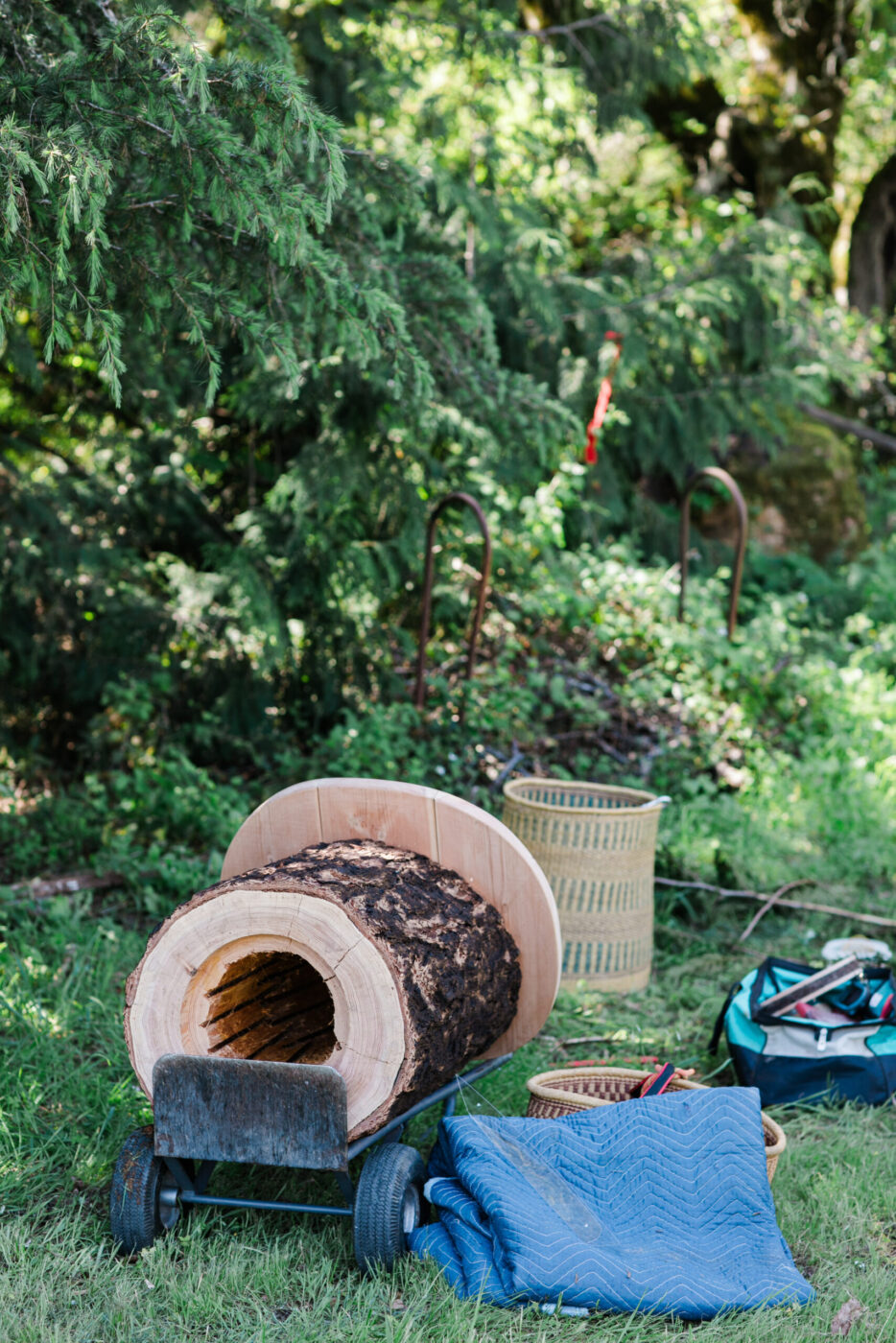 A TreeNest created by Sebastopol nonprofit Apis Arborea is ready to be installed in a tree to house feral honeybees. (Eileen Roche)