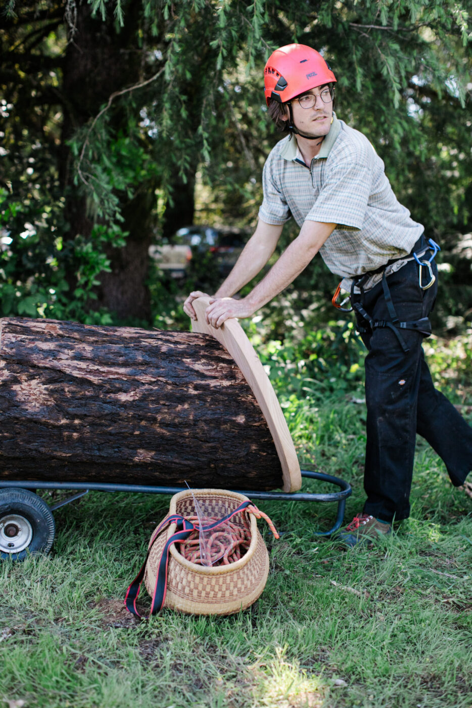 Conner McElroy, conservation specialist with Apis Arborea, ready to install a TreeNest created by the Sebastopol nonprofit in a tree to house feral honeybees. (Eileen Roche)