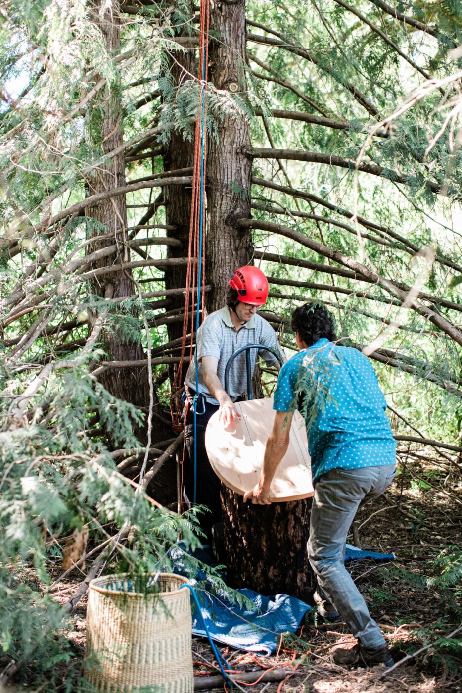 Apis Arborea founder Michael Thiele and conservation specialist Conner McElroy prepare to install a TreeNest to house feral honeybees. (Eileen Roche)