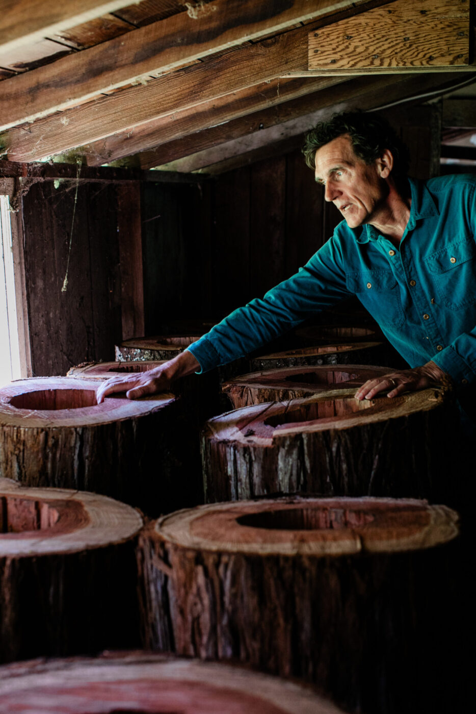 Michael Thiele in a barn filled with logs that will eventually become home to "feral" honeybees at the Apis Arborea headquarters in Sebastopol. TreeNests are built there before being installed in trees. (Eileen Roche)