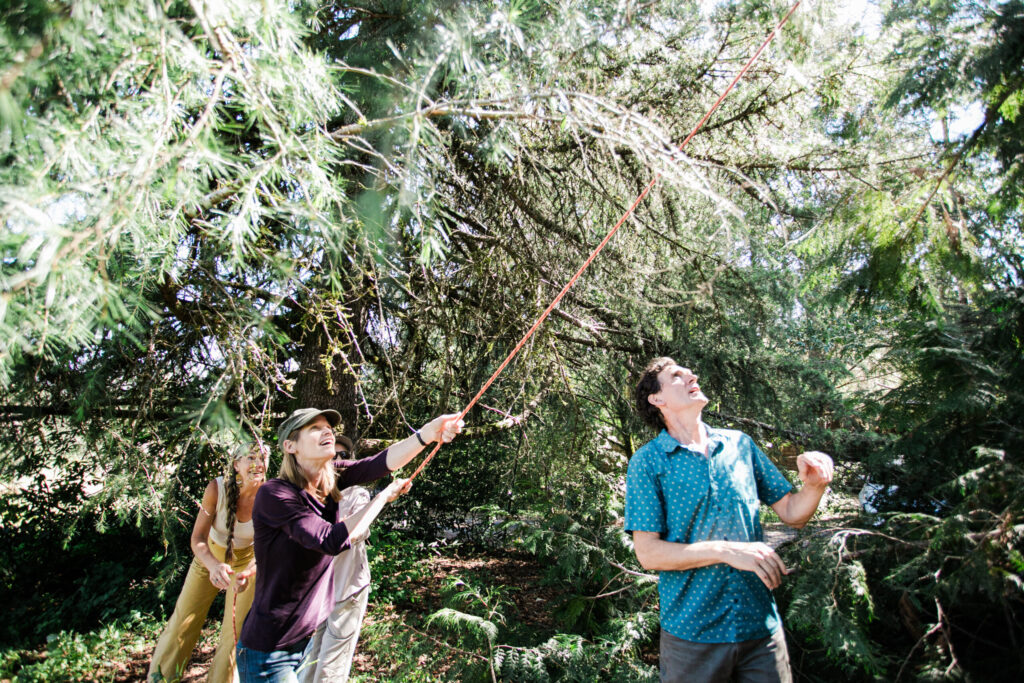 Gia Baiocchi, COO of Apis Arborea (in yellow pants), Laura Cheever, and Noelle Johnson, deputy director of Gold Ridge Resource Conservation District (in purple shirt), heave a rope and pulley to hoist a TreeNest up in a tree. (Eileen Roche)
