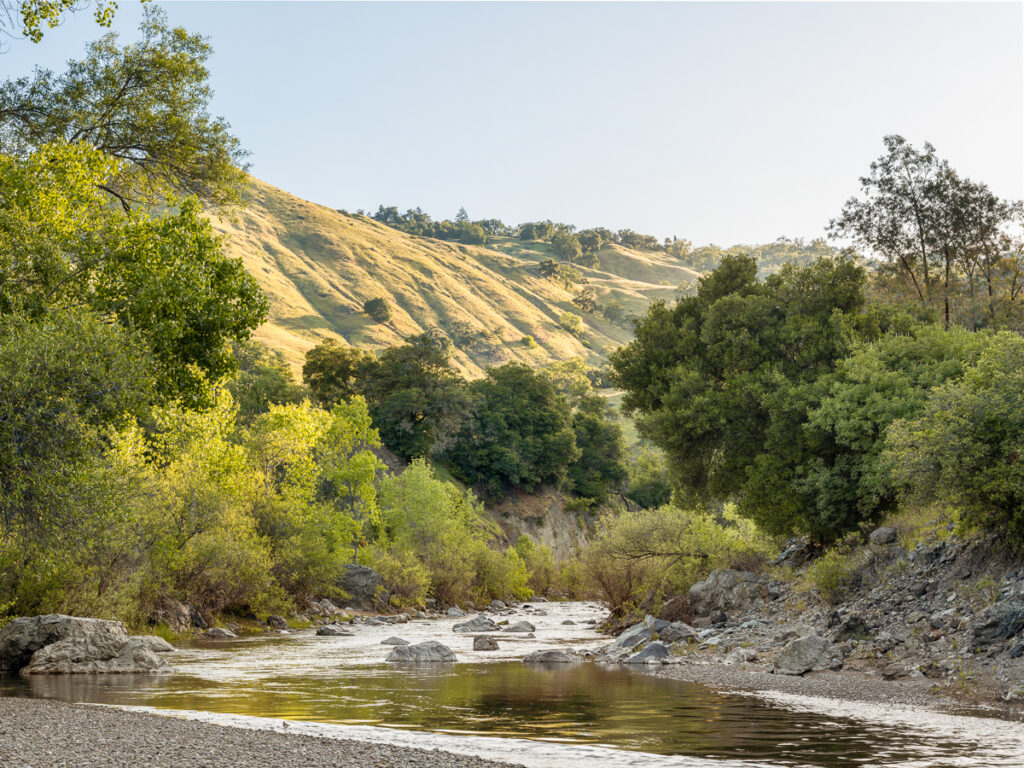Big Sulphur Creek. (Jeffrey Frisk)