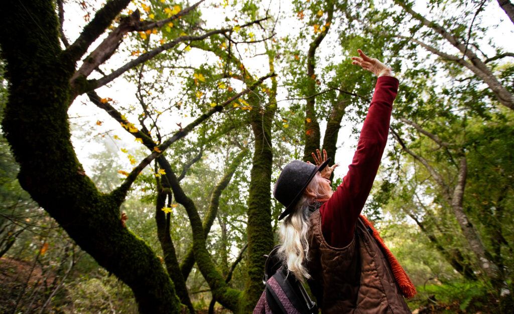 Karen Sapper, certified forest therapy practitioner and guide, gestures to the group about experiencing awareness amongst the trees during a “forest bathing” hike at Sugarloaf Ridge State Park in Kenwood, on Sunday, November 23, 2025. (Darryl Bush / For The Press Democrat)