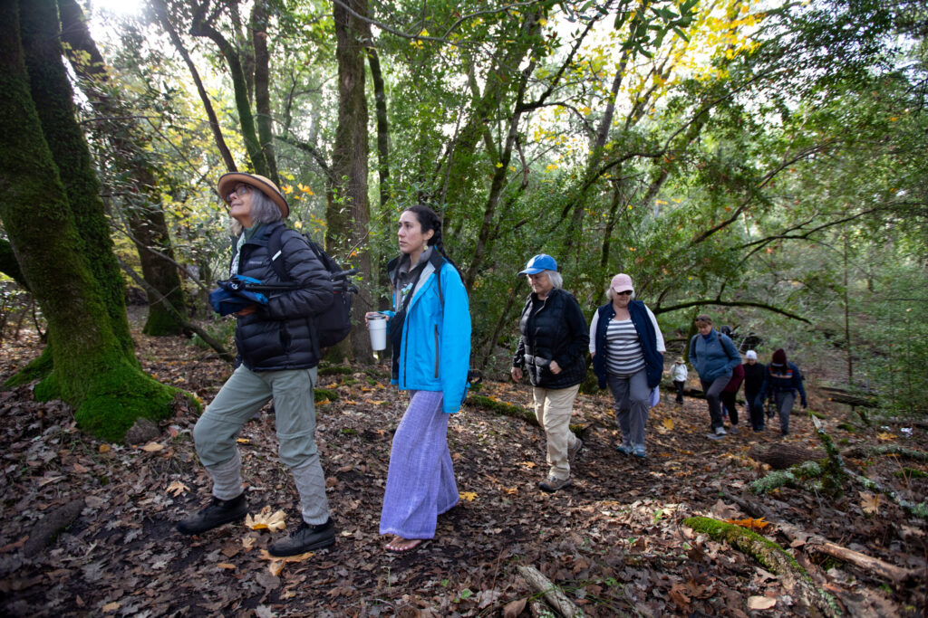Susan Karle, a certified forest therapy practitioner and guide, left, helps lead hiking on Creekside Trail, as Sydney Lorenzini, a camp host at the park, center, follows with others as they participate in “forest bathing” at Sugarloaf Ridge State Park in Kenwood, on Sunday, November 23, 2025. (Darryl Bush / For The Press Democrat)
