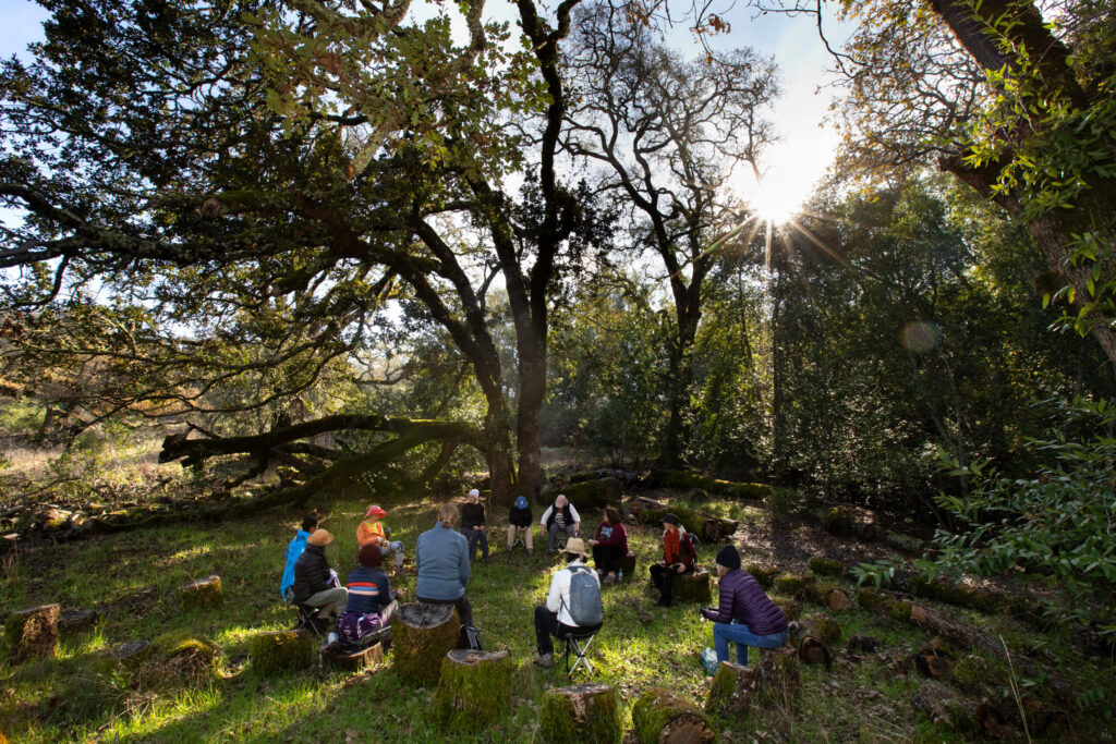 Participants sit in a circle as they share experiences during “forest bathing” at Sugarloaf Ridge State Park in Kenwood, on Sunday, November 23, 2025. (Darryl Bush / For The Press Democrat)
