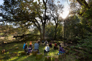 Participants sit in a circle as they share experiences during “forest bathing” at Sugarloaf Ridge State Park in Kenwood, on Sunday, November 23, 2025. (Darryl Bush / For The Press Democrat)