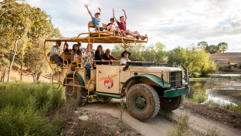 Explore Safari West's 400-acre African wildlife preserve during a safari tour. (Sonoma County Tourism)