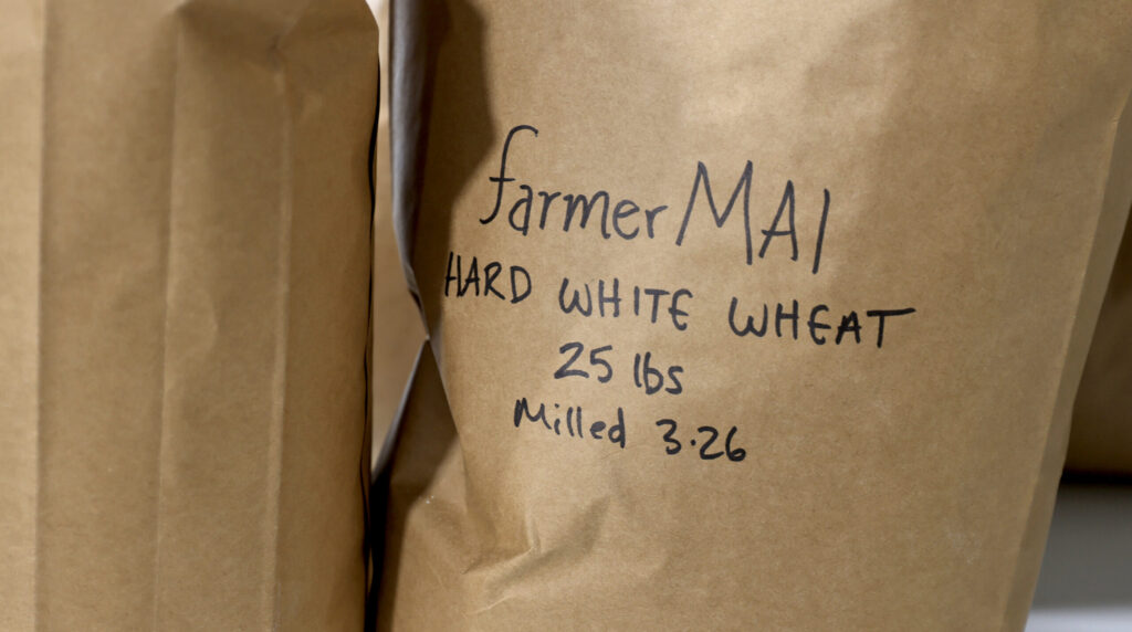 Hard white wheat, seeded by hand and grown by Mai Nguyen, is milled and bagged at Green Valley Farm and Mill in west Sonoma County, Wednesday, March 4, 2026. (Kent Porter / The Press Democrat)