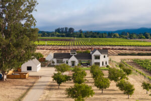 A brand new four-bedroom, six-bathroom home on four acres in Sonoma is currently listed for $10,900. (Peter Lyons Photography)