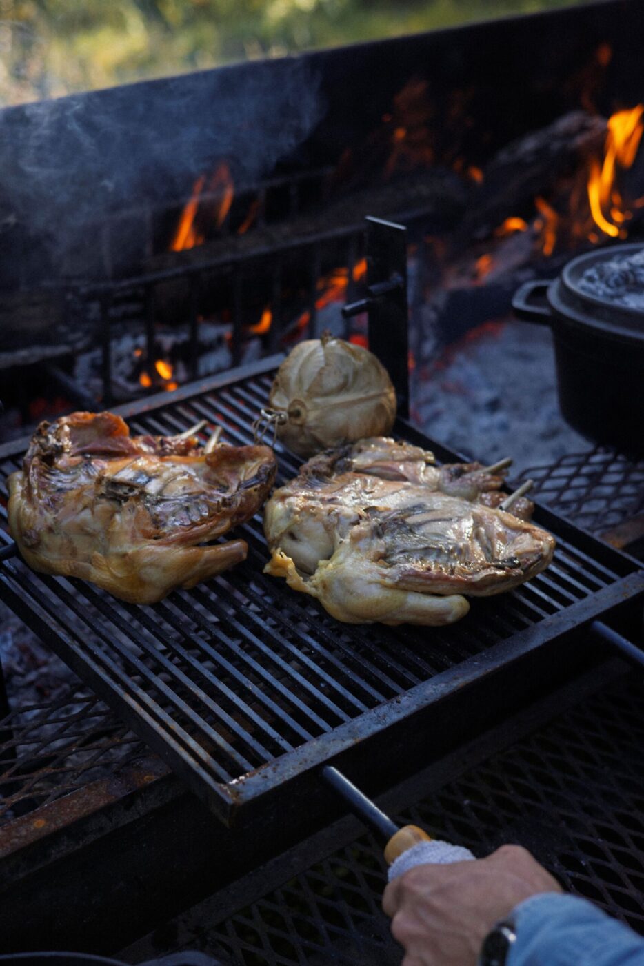 Chef Lee Desrosiers slow-roasts his signature "Hell Chicken" over hot embers, then transfers it to a Dutch oven to braise before moving them back to the grill. (Conor Hagen)