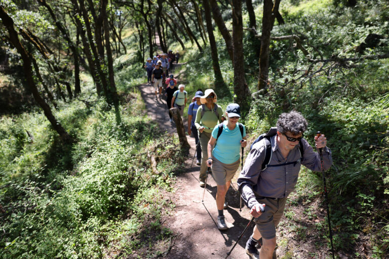 Zoli Somogyi leads a group with “Go Wild Hikers” along a trail at Shiloh Ranch Regional Park in Windsor Sunday, May 31, 2026. (Beth Schlanker / The Press Democrat)
