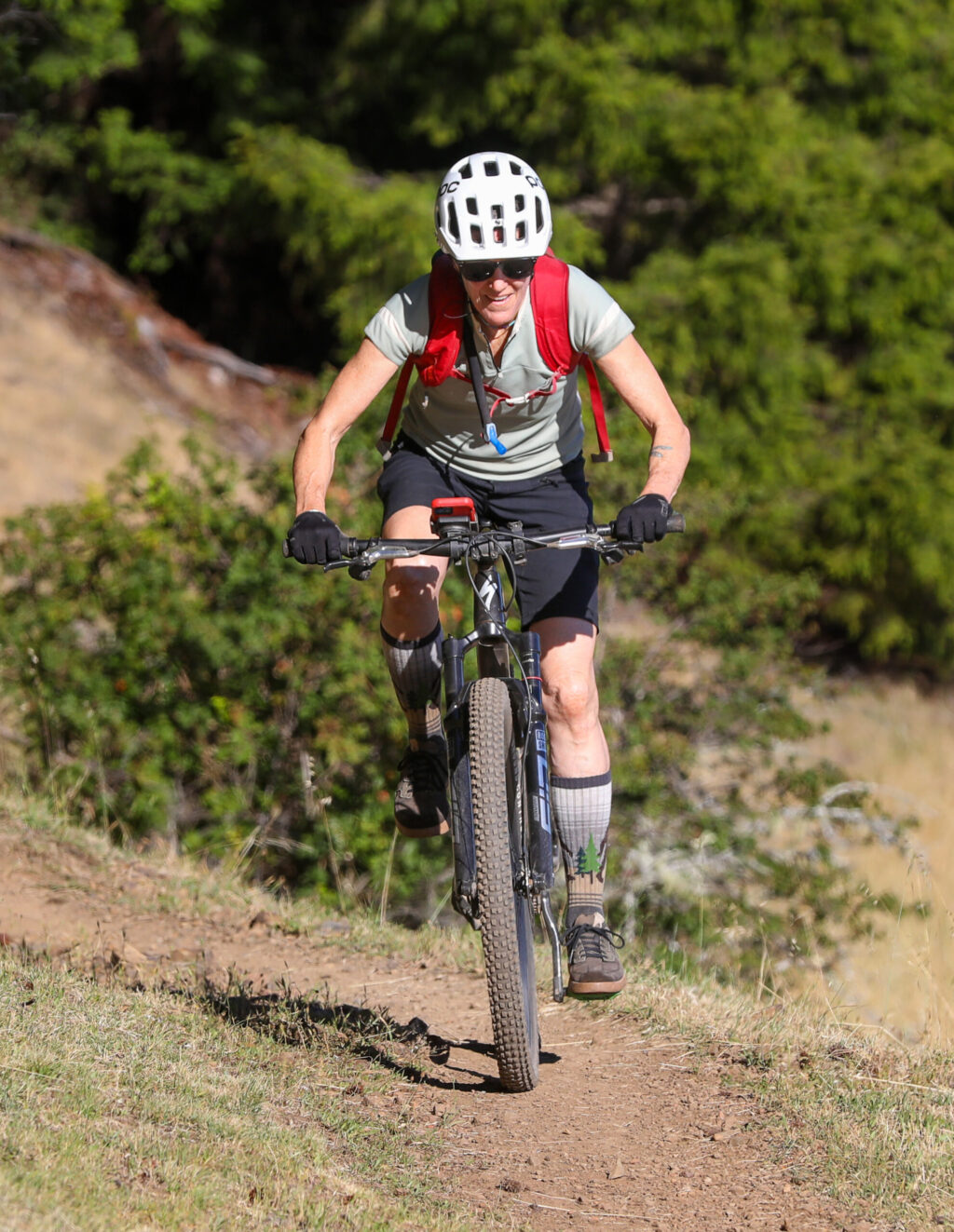 Nance Burton climbs along the Sound of Music trail in the Monte Rio Redwoods Regional Park & Open Space Preserve near Occidental on Thursday, June 11, 2026. (Christopher Chung/The Press Democrat)