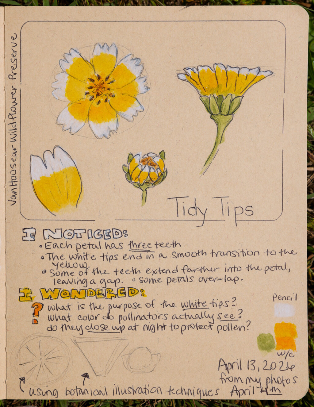 Nature journaling tips written out in Sarah Reid’s journal. Photo taken at Shell Beach, north of Bodega Bay on Monday, May 4, 2026. (Christopher Chung/The Press Democrat)