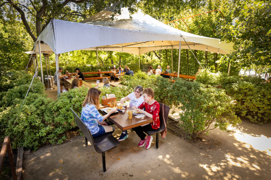 Plenty of seating out back in the garden at Handline Thursday, July 9, 2026 in Sebastopol. (John Burgess/The Press Democrat)