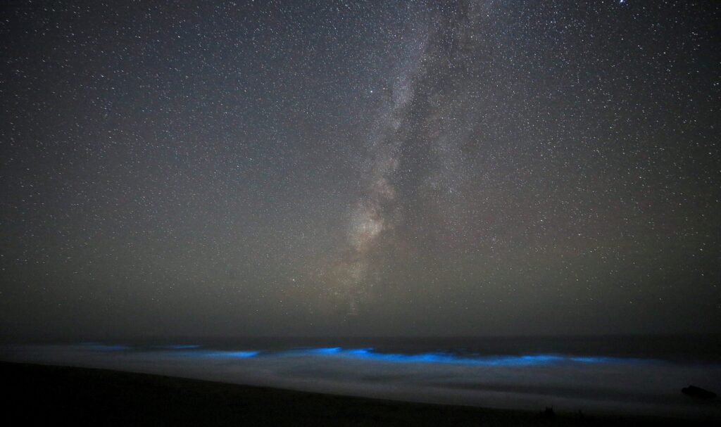 Bioluminescence lights up the surf at Salmon Creek Creek State Beach north of Bodega Bay on Sept. 3, 2019. (Kent Porter / The Press Democrat)