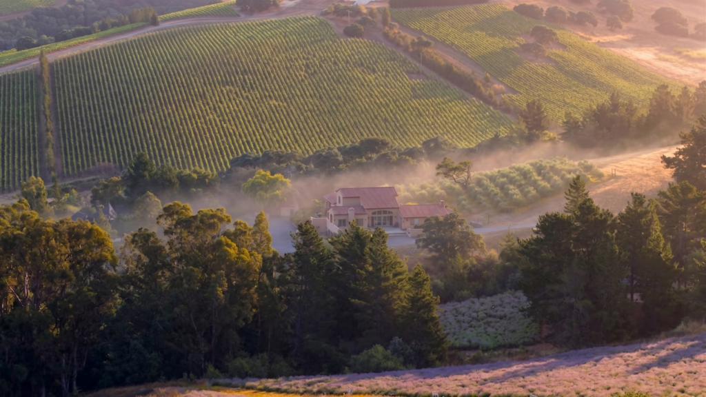 A Sebastopol estate with a lavender farm—the largest in northern California— is currently listed for $4,999,000. (David Schloss / Inventive Films)