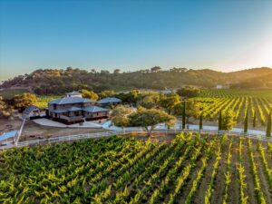Vineyard at sunset. (Daniel Wilson / Sotheby's International Realty)