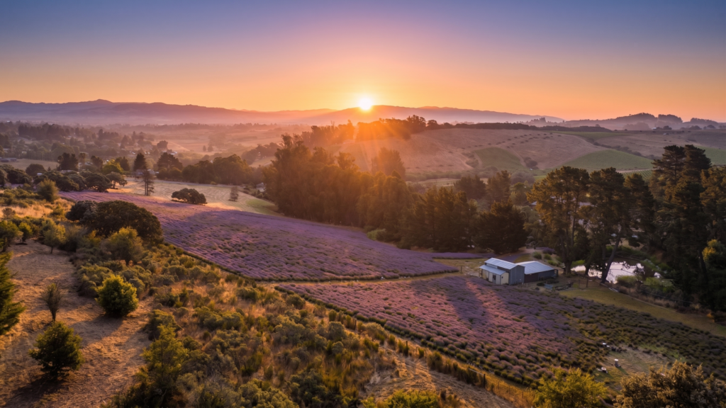 Fields and farm store. (David Schloss / Inventive Films)