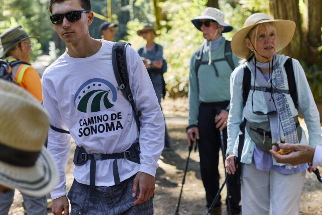 Hikers at Monte Rio Redwoods Regional Park on Stage 5 of the Camino de Sonoma. (Kim Carroll)
