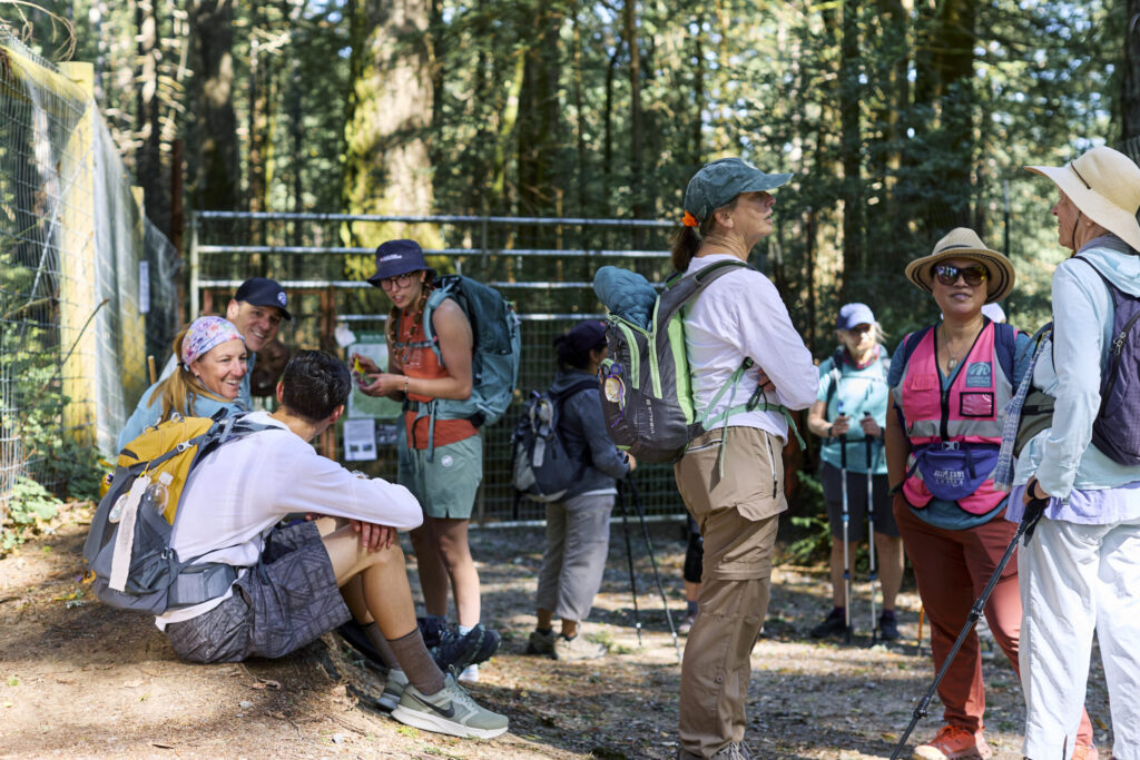 Hikers stop for a break at Monte Rio Redwoods Regional Park on Stage 5 of the Camino de Sonoma. (Kim Carroll)