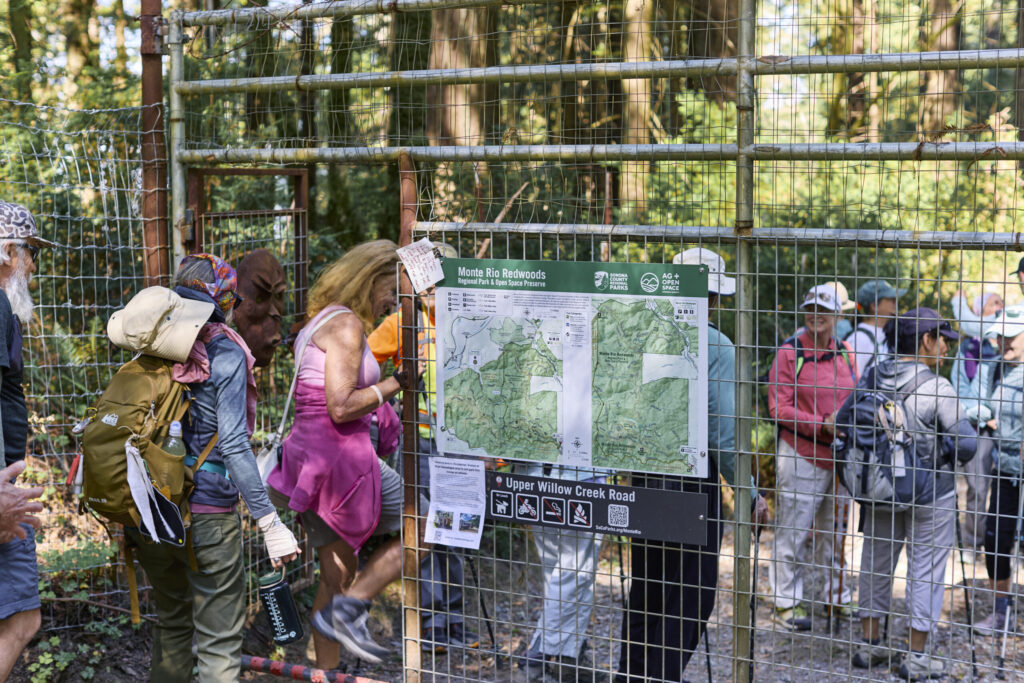 Hikers at the entrance of Monte Rio Redwoods Regional Park, on Stage 5 of the Camino de Sonoma. (Kim Carroll)