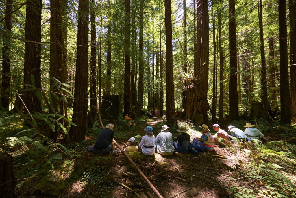 Hikers stop for a break at Monte Rio Redwoods Regional Park on Stage 5 of the Camino de Sonoma. (Kim Carroll)