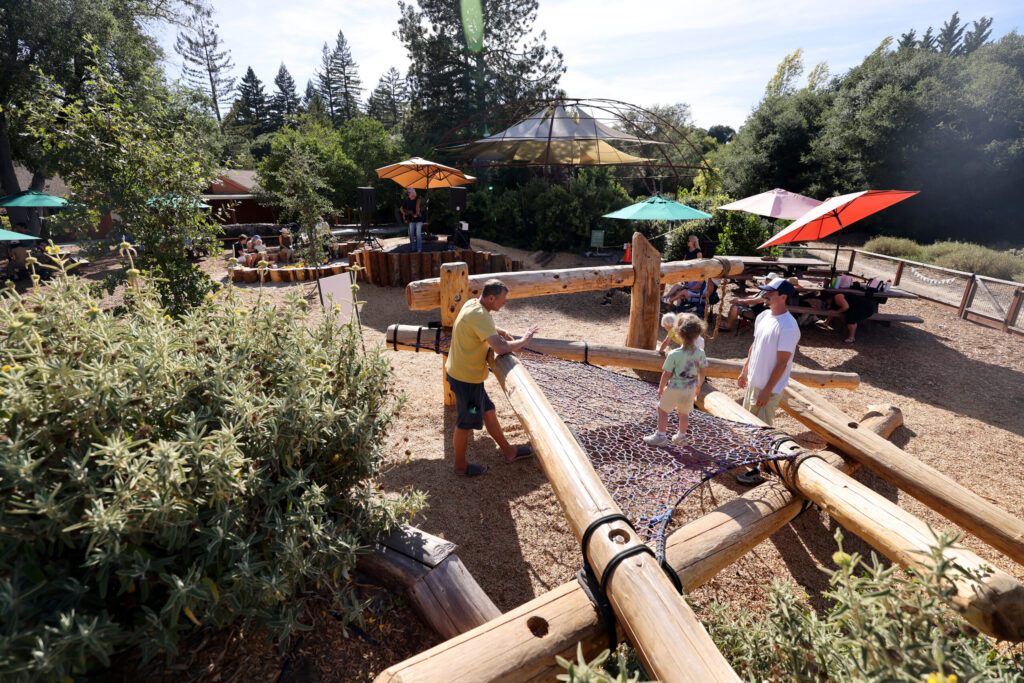 Children and parents play together at Wylde Provisions Co. playground and cafe in Sebastopol Sunday, Aug. 23, 2026. (Beth Schlanker / The Press Democrat)