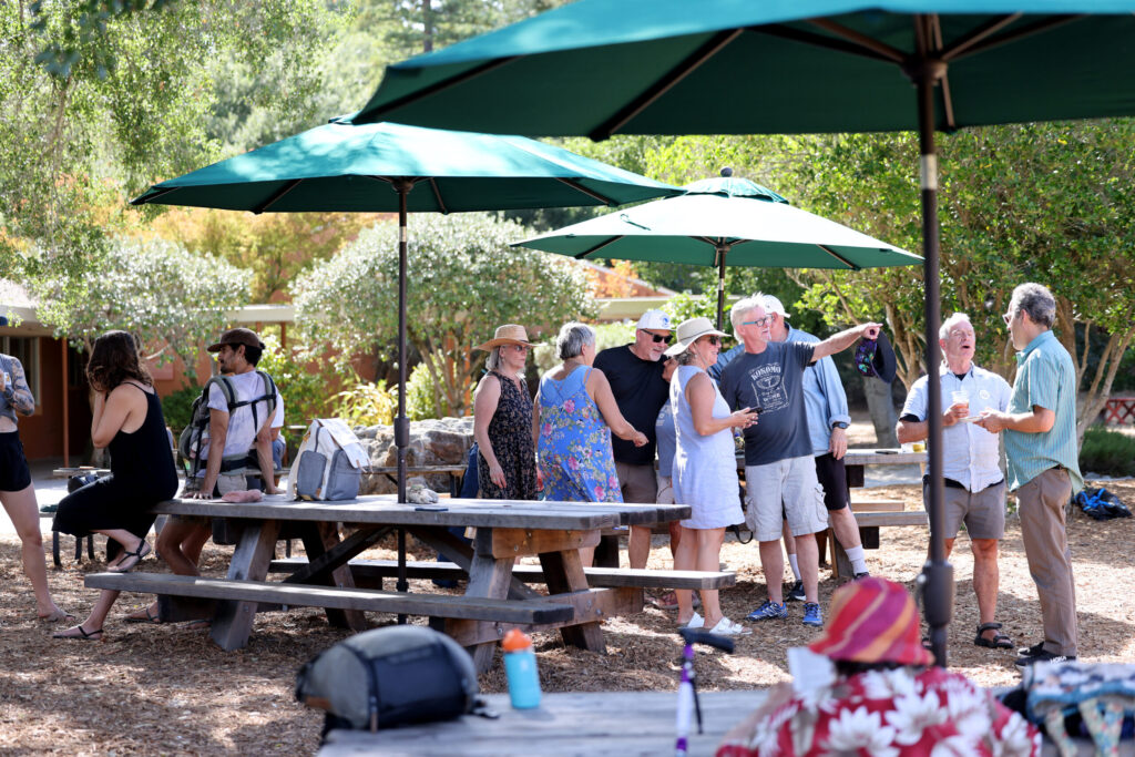 People gather at Wylde Provisions Co. playground and cafe in Sebastopol Sunday, Aug. 23, 2026. (Beth Schlanker / The Press Democrat)