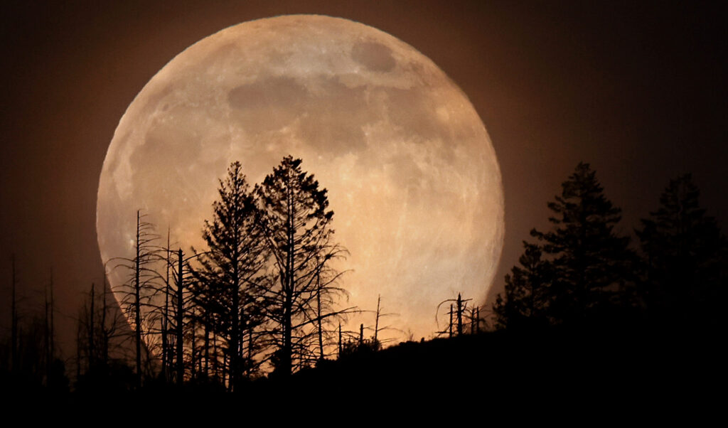 The Cold moon, the last super moon of 2025, rises behind the Mayacamas Mountains and Nuns Fire burn scar, Thursday, Dec. 4, 2025 in Glen Ellen. The yellow orange tint is due to a layer of cirrus clouds and smoke particulates trapped under a persistent high pressure ridge. (Kent Porter / The Press Democrat)