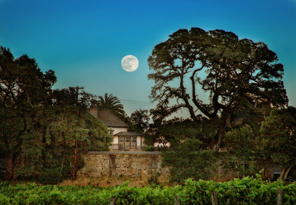 At Jack London State Historic Park in Glen Ellen. London’s book “Valley of the Moon,” inspired by his life in Glen Ellen, is his longest. (Tom Deininger / Sonoma County Tourism)