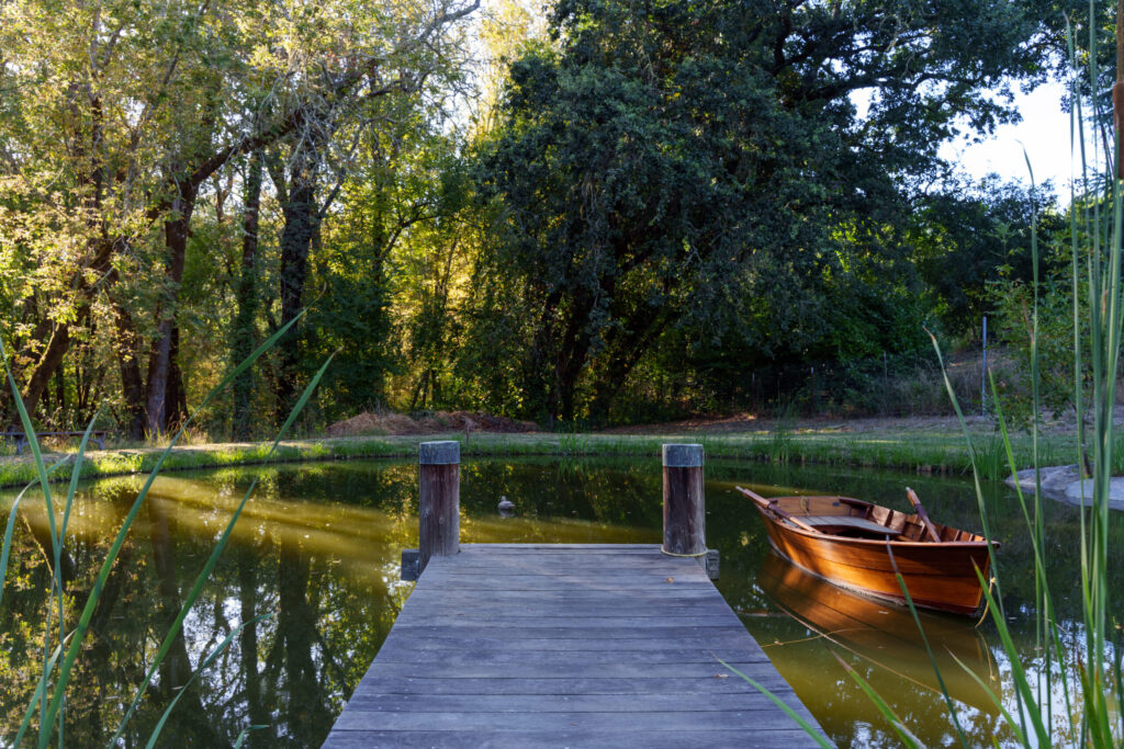 Pond on the property. (Alan Sarpy / Sotheby's International Realty)